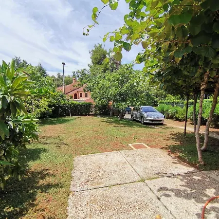 Apartment Figa